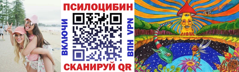 Псилоцибиновые грибы Cubensis  OMG сайт  Вышний Волочёк  где купить  