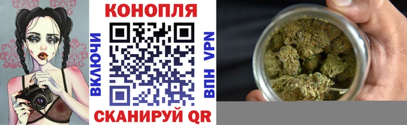 где можно купить наркотик  Вышний Волочёк  Конопля планчик 